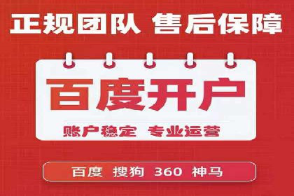 电商平台信息流广告的投放策略与效果评估案例